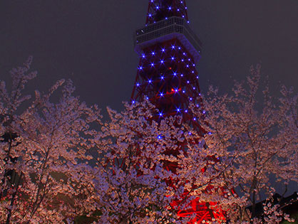 La torre de Tokio se ilumina.